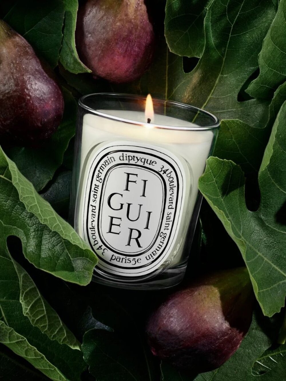 Brand New Diptyque FIGUIER Bougie Parfumee Scented Candle 6.5 oz - 190 g
